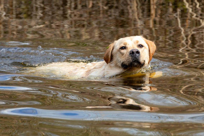 Foto_Richtiger Umgang mit Tierarzneimitteln und Umwelt.jpg