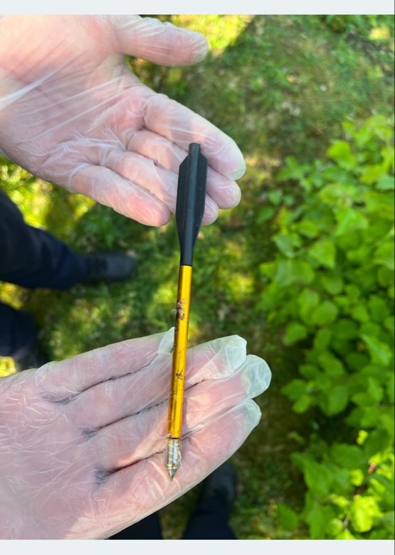 POL-KLE: Kleve - Taube am Naturpark in Kellen getötet aufgefunden / Polizei stellt Armbrustpfeil sicher