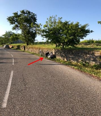 POL-PDNW: Neustadt/Weinstr. - Schwerer Verkehrsunfall mit Leichtkraftrad
