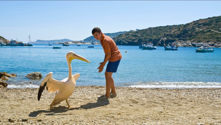 Pelikan als Hauptdarsteller: &quot;Ein griechischer Sommer&quot; als Free-TV-Premiere im ZDF (FOTO)