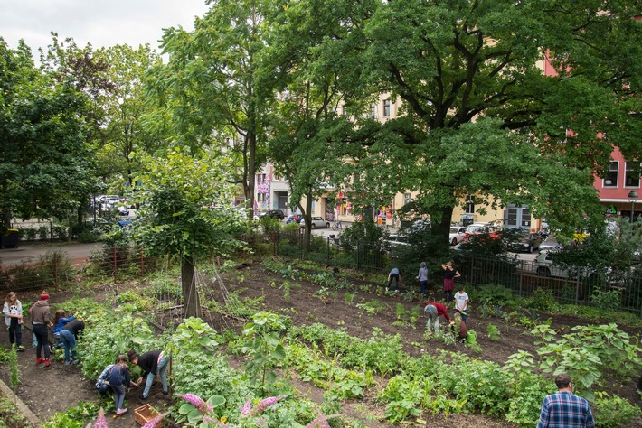 DBU fördert: Grünes Klassenzimmer - Schulgärten neu gedacht