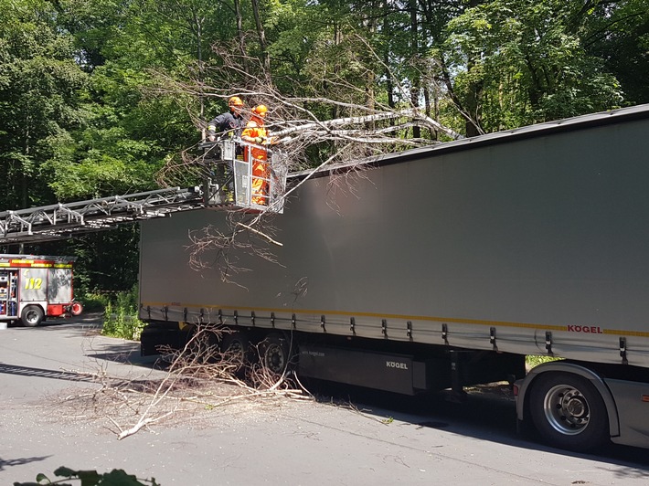 FW-DO: 27.06.2020 Dortmund-Syburg Baum fällt auf LKW