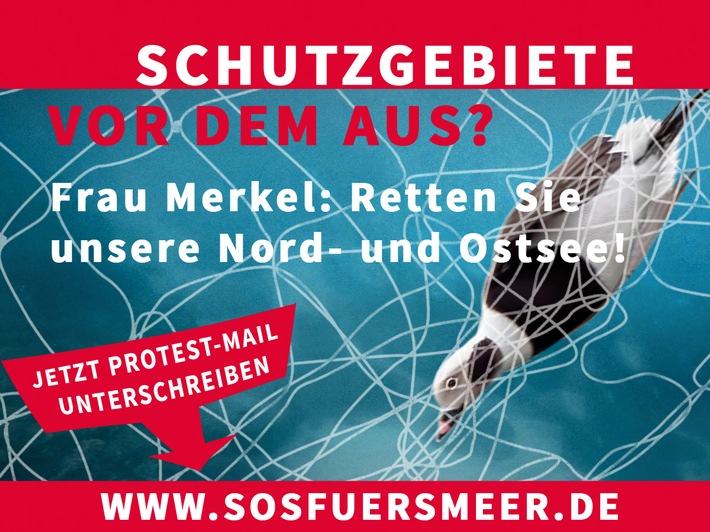 SOS fürs Meer: Nord- und Ostsee in Gefahr!