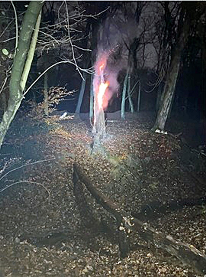 POL-ME: Baumstumpf in Brand gesetzt - die Polizei ermittelt - Erkrath - 2212002