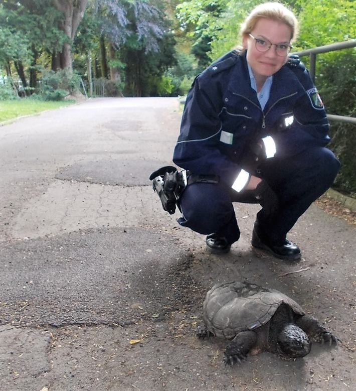 POL-NE: "Schnappschildkröte" sorgt für Aufsehen im Neusser Stadtgarten