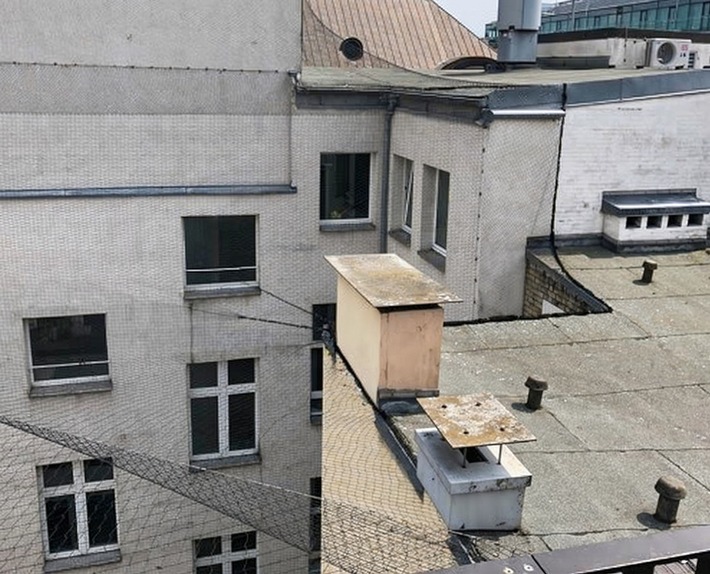 Kein Zugang für Tauben: Netze als wirksamer Schutz vor einem Befall