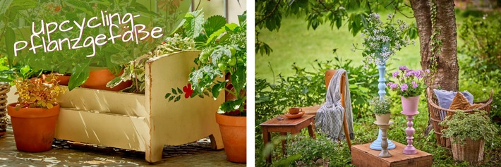 Geranien im neuen Look: Kreative DIY-Ideen für Upcycling-Pflanzgefäße