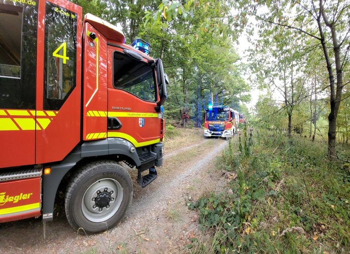FW Lügde: Waldbrand zwischen Elbrinxen und Henkenbrink