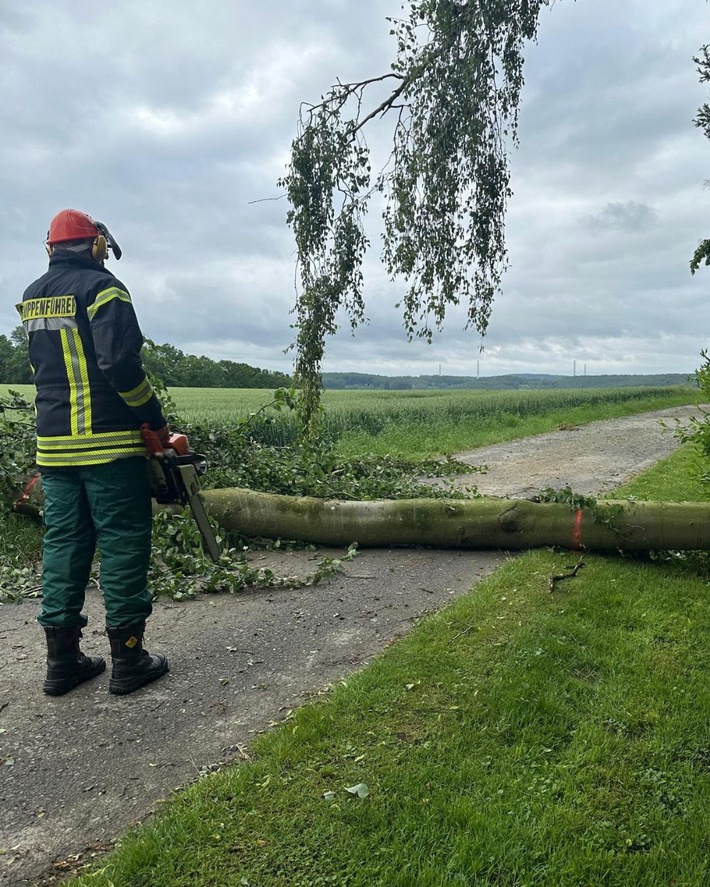 FW Ense: Baum auf Fahrbahn