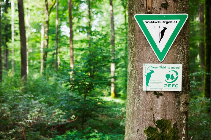 20 Jahre Einsatz für nachhaltige Waldbewirtschaftung: PEFC Deutschland feiert Jubiläum