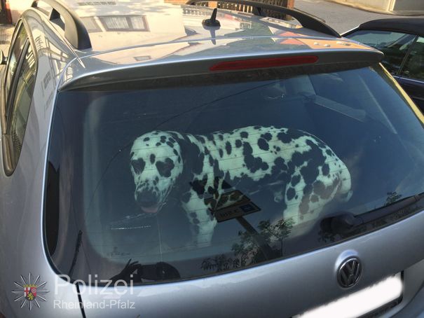 HDP-RP: Lebensgefahr für Hunde bei Hitze in geparkten Autos