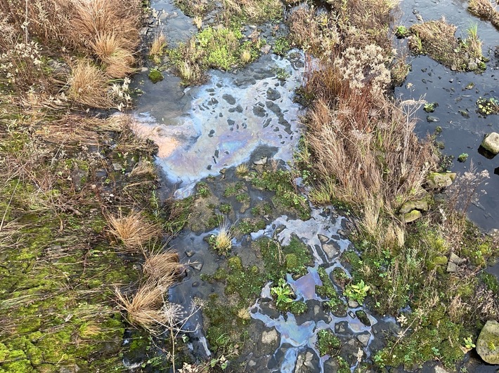 FW-MH: Vermutete Gewässerverunreinigung an der Kassenbergbrücke - Natürliches Phänomen löst Feuerwehreinsatz aus