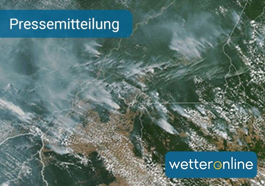 Rauch verhüllt halben Kontinent - Südamerikas Wälder brennen