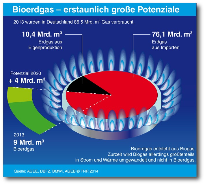 Bioerdgas könnte schon heute 10 Prozent des Erdgasverbrauchs in Deutschland ersetzen
