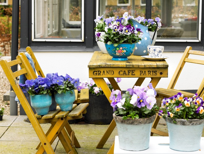 La vie est belle! Veilchen, Männertreu &amp; Schneeflockenblumen auf Balkon &amp; Terrasse / Gartenblüher im Stil der französischen Provence arrangieren (BILD)