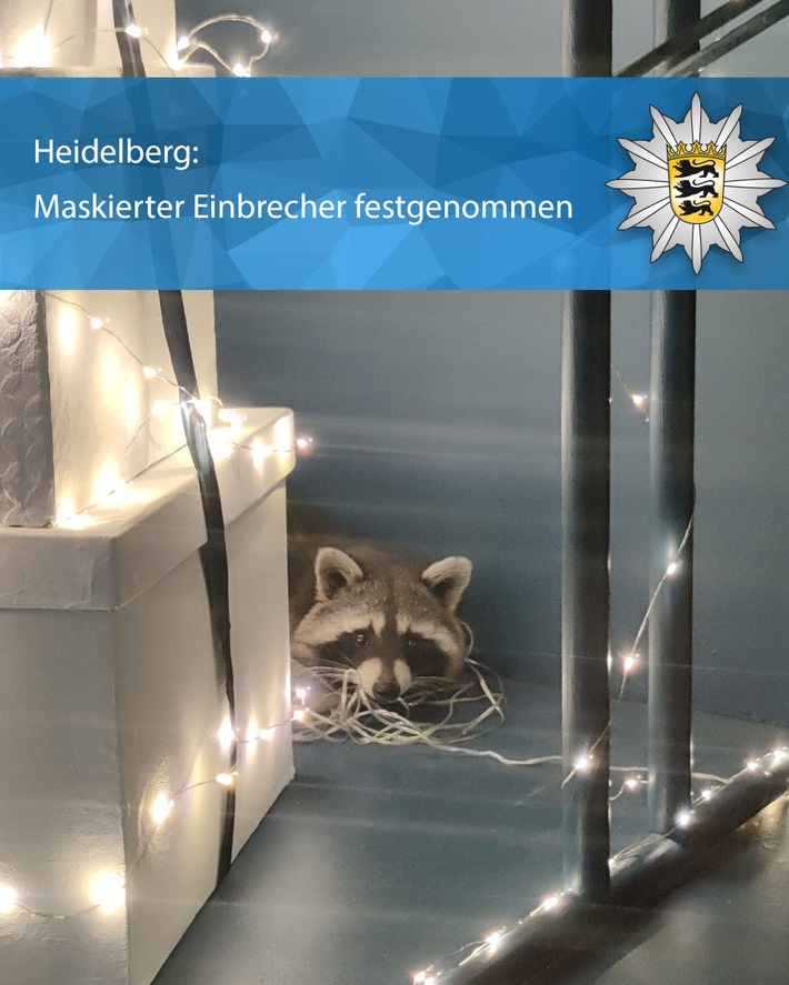 POL-MA: Heidelberg-Altstadt: Tierischer Einsatz in Modegeschäft