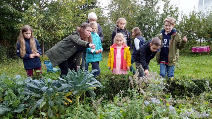 Zwischen Wald und WLAN: "plan b" im ZDF über neue Schulkonzepte