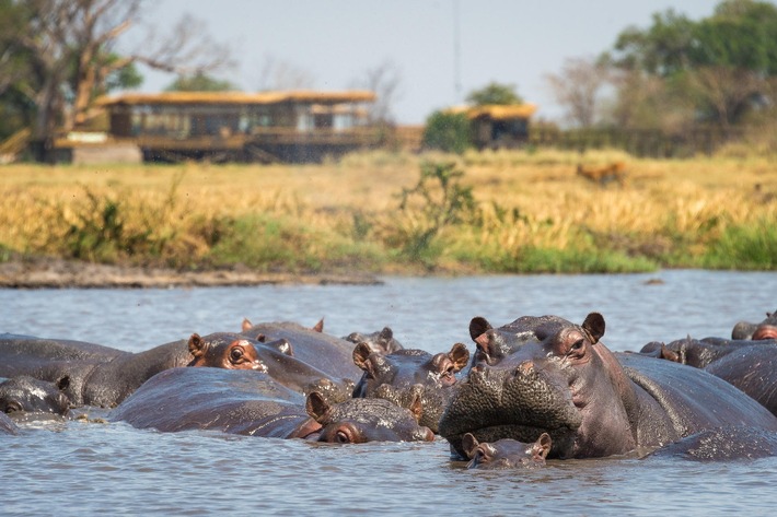 Wake up in the Wild + + + Mit Wilderness zu ungezähmten Abenteuern in Sambia und Simbabwe