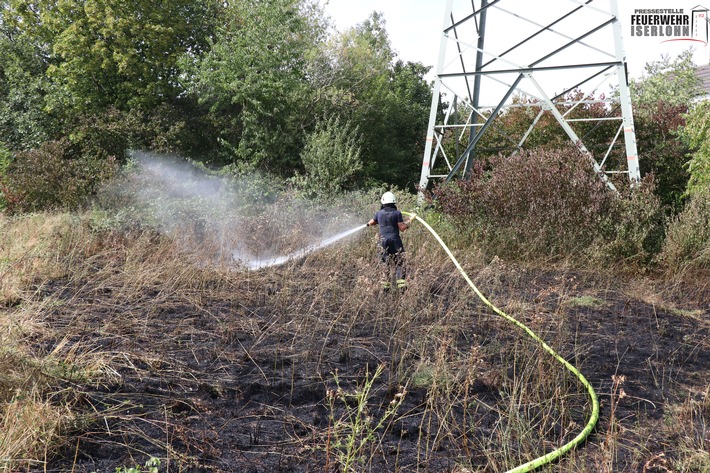 FW-MK: Flächenbrand