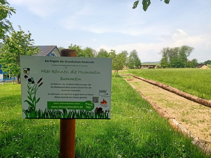Hummel-Bummel-Projekt und Biodiversitätspreis