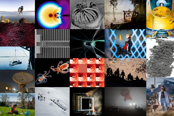 Twenty prizewinners in the SNSF Scientific Image Competition
