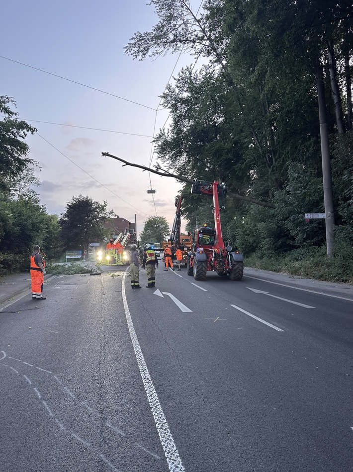 FW-EN: Baum auf Oberleitung