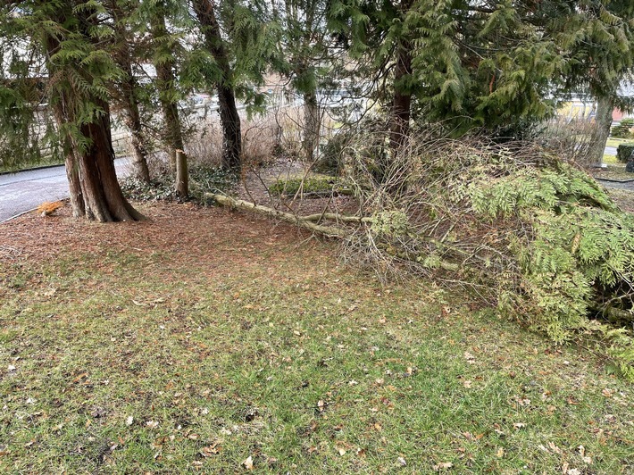POL-KB: Bad Wildungen - Unbekannter beschädigt Bäume auf dem Friedhof, Polizei bittet um Hinweise