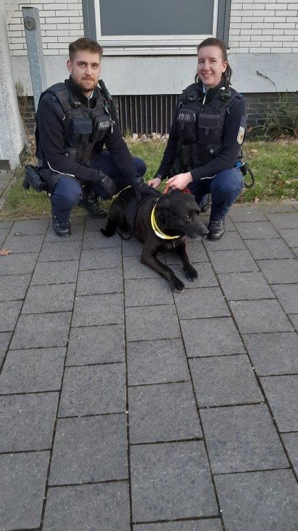 BPOL-H: Hund steigt alleine in den Zug ein und fährt nach Braunschweig