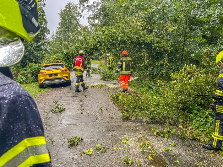 FW Flotwedel: Feuerwehren beseitigen umgestürzten Baum von PKW