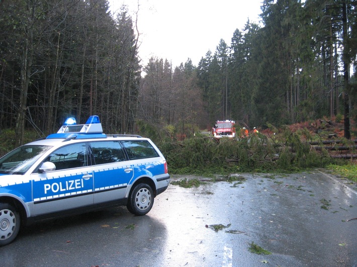 POL-HOL: Bundesstraße 497 - Gemarkung Neuhaus: Sturm bringt vier Bäume zu Fall - Einstündige Straßensperrung erforderlich -