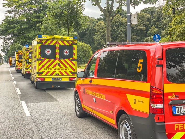 FW Dresden: Mehrere Personen kollabieren nach Stich von Hornissen