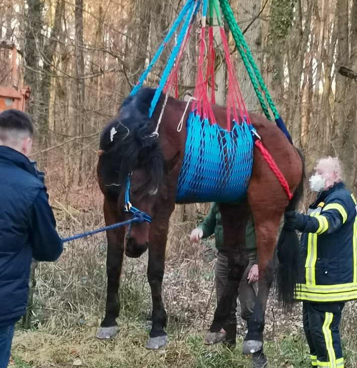 POL-PDLD: Jockgrim - Gestürztes Pferd gerettet