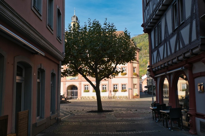 ++ BUND: Mehr Grün in die Städte – „Baum-Woche“ mit Umfrage und Mitmachangeboten zum Tag des Baums | SPERRFRIST: 05.00 Uhr ++