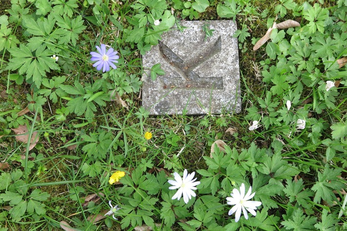 Presseeinladung: „The Alphabet Garden“ – Symposium in Anwesenheit der US-amerikanischen Künstlerin Diane Samuels