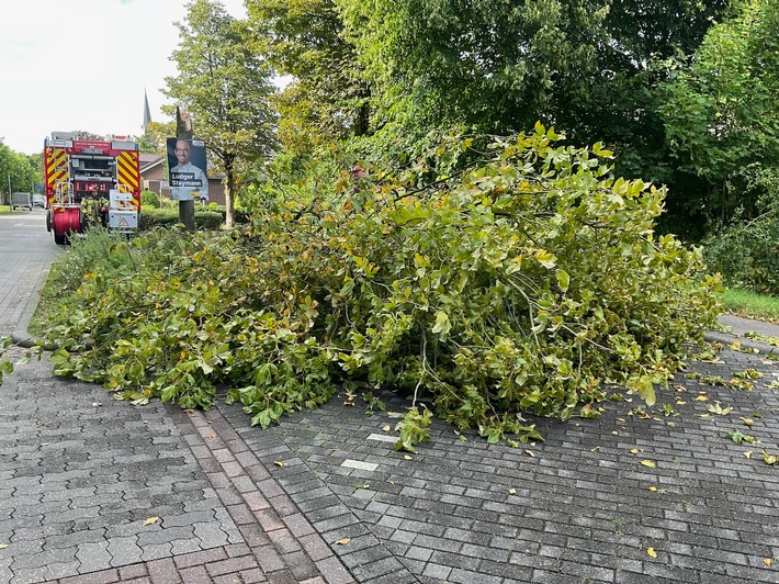 FW Alpen: umgestürzter Baum auf Gehweg