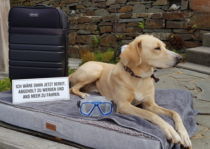 BfT/bpt-Video-Challenge "Mit dem Hund auf Reisen" : Gewinner stehen fest