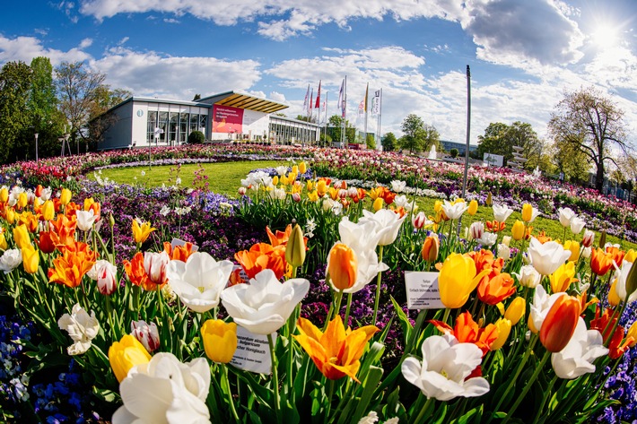 Blütenstarker egapark-Start am 19. März 2022