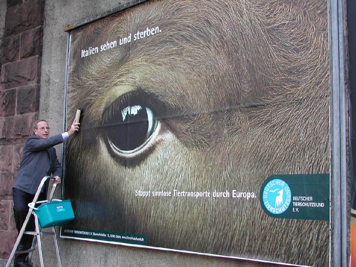 Kampagnenplakat gegen grausame Tiertransporte
