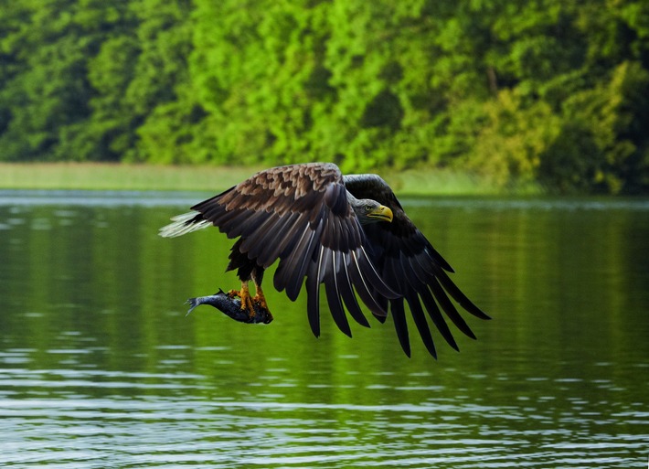 PM 32/20 Landtagspräsidentin Birgit Hesse eröffnete Outdoor-Fotoausstellung "Wo Natur zu Hause ist"