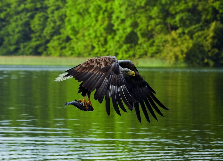 PM 32/20 Landtagspräsidentin Birgit Hesse eröffnete Outdoor-Fotoausstellung &quot;Wo Natur zu Hause ist&quot;