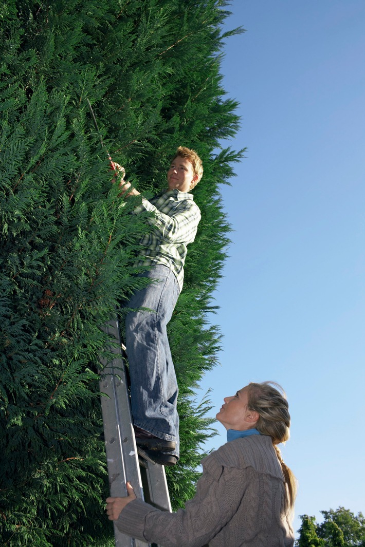 Garten gut gesichert winterfest machen / Derzeit werden Bäume und Pflanzen auf den Winter vorbereitet, um sie vor Schäden zu bewahren / Auch Gartenfreunde sollten sich gut schützen, rät die DVAG