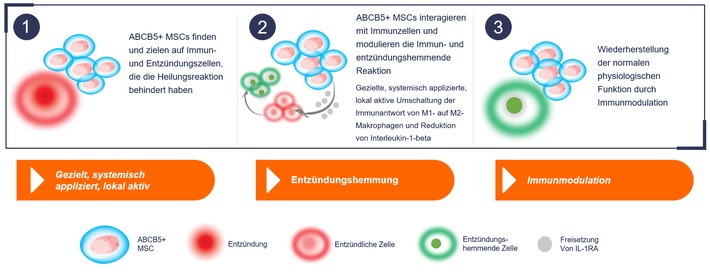 Mit Stammzellen gegen chronisch-venöse Wunden / RHEACELL erhält Deutschen Wundpreis 2022