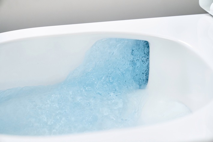 Wenn ein WC zum Wohlfühlmoment wird