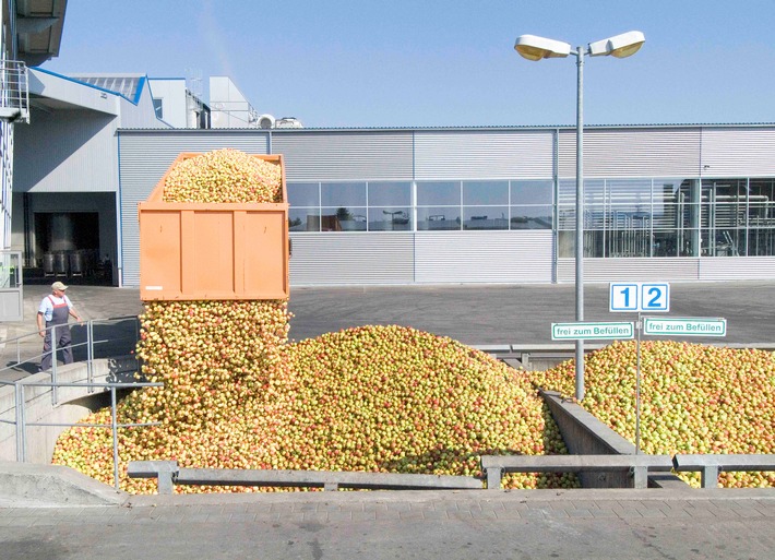 Keltereien produzieren Apfelsaft auf Hochtouren - alles wird verarbeitet