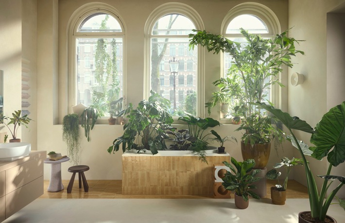 Natürliche Highlights