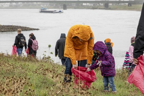 Pressemitteilung: TEEKANNE und das Clean River Project befreien das Rheinufer von Müll
