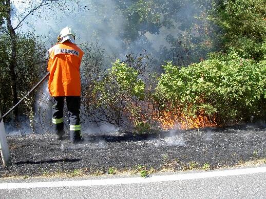 FW-LFVSH: Feuerwehr warnt: Gefahr von Wald- und Flächenbränden steigt!