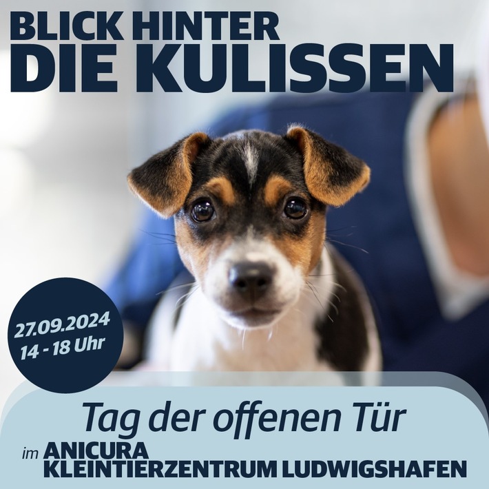 Einladung zum Tag der offenen Tür im AniCura Kleintierzentrum Ludwigshafen am 27. September 2024