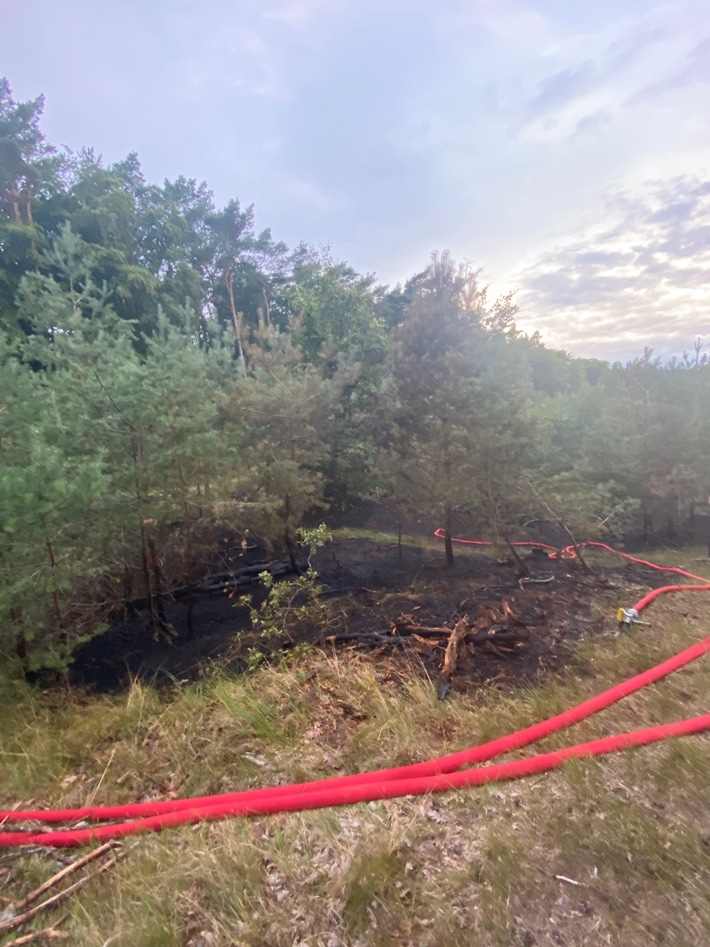 POL-NB: Waldstück bei Zempin (Insel Usedom) brennt