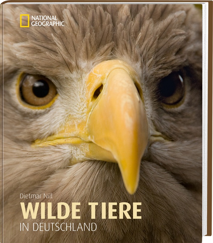 Auf Safari durchs eigene Land / Für den Bildband "Wilde Tiere in Deutschland" hat sich Dietmar Nill in die Tiefen der heimischen Wälder begeben und eine Vielzahl an ungezähmten Bewohnern aufgespürt (BILD)